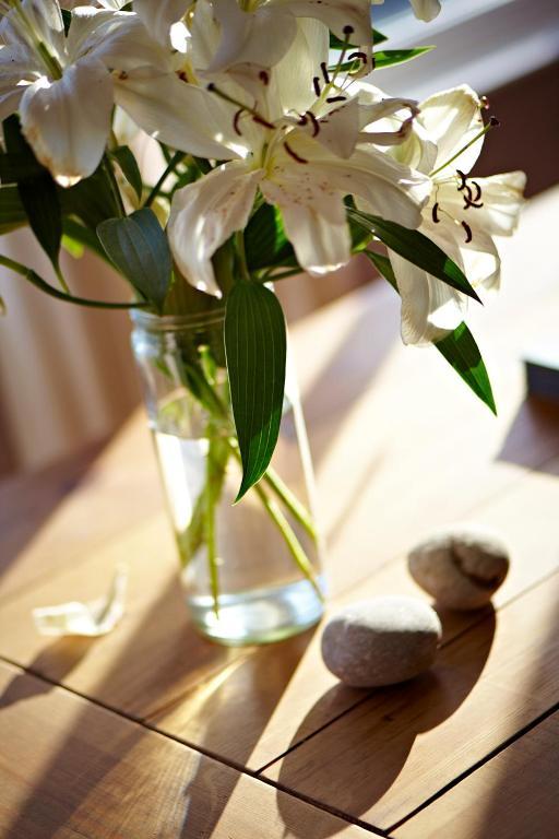 The Pad Apartment Newquay  Ngoại thất bức ảnh